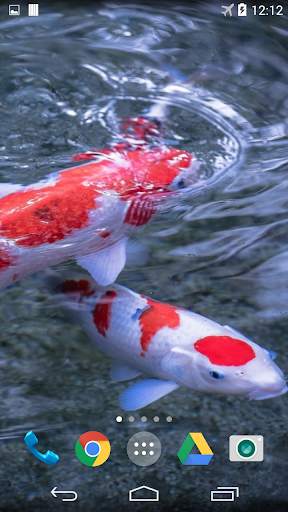 Koi Live Wallpaper screenshot 2