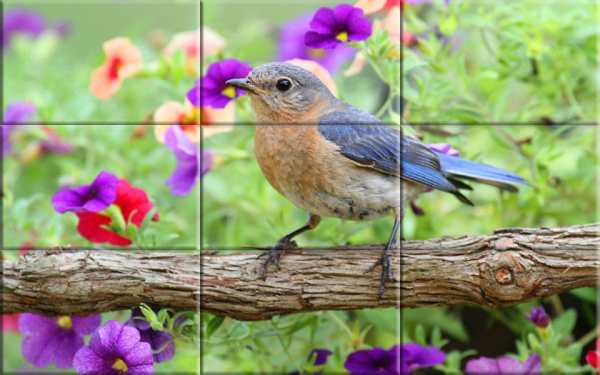 Puzzle - Birds स्क्रीनशॉट 1