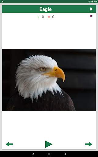 Learn Animals and Birds in English - Quiz screenshot 9