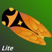 Music Companion Lite logo