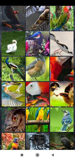 Bird Wallpaper Full HD screenshot 3