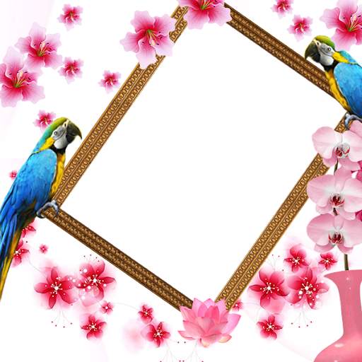 Flower Insta DP 4 تصوير الشاشة