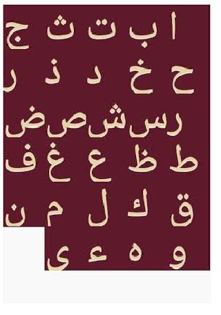 Study Arabic скриншот 6