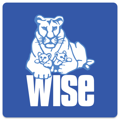 WISE Online - приложение WISE иконка