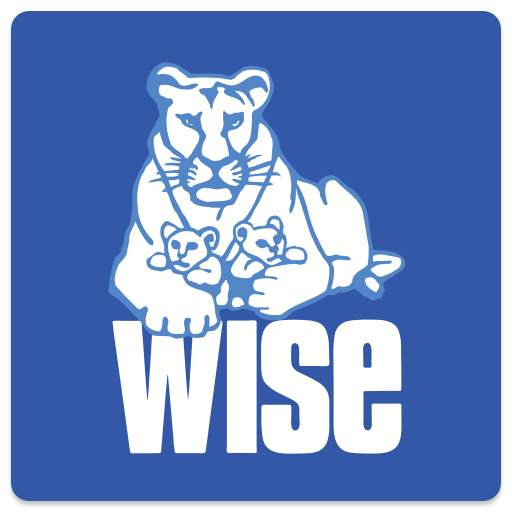 WISE Online - приложение WISE 7.18.0