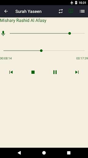 Surah Yaseen screenshot 5