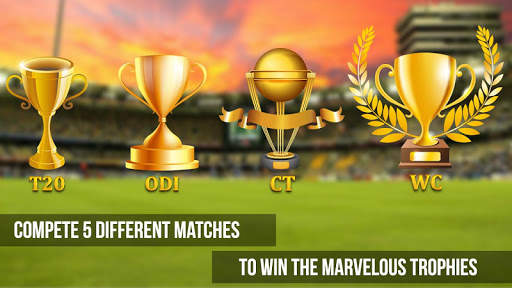 Real Cricket championship big bash mind game 2017 screenshot 3