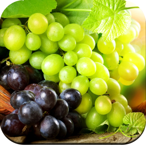 Grapes Wallpaper HD icon