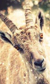 Funny goat live wallpaper screenshot 2