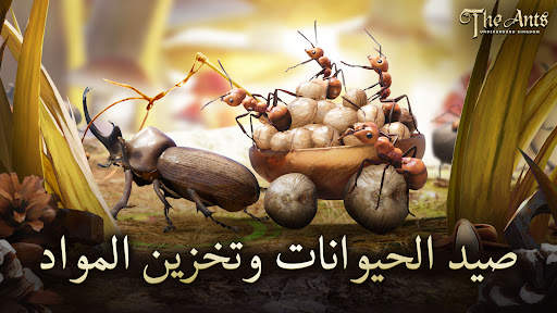 The Ants: Underground Kingdom 2 تصوير الشاشة