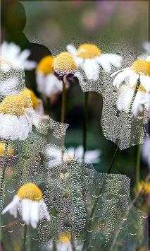 Flowers Wild HD live wallpaper screenshot 3