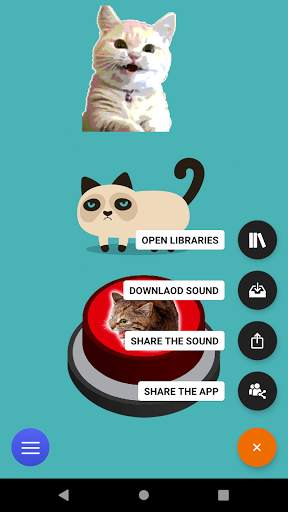 Angry Rage Cat Meow | Meme Prank Button screenshot 5