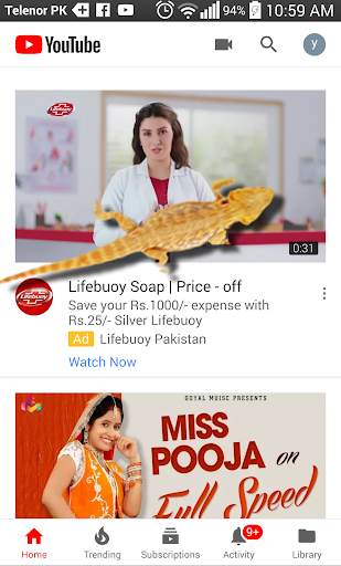 Lizard on social apps – funny prank 2018 screenshot 3