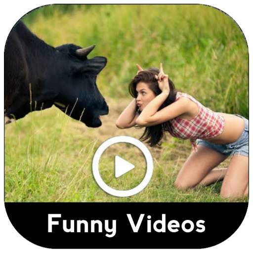 Funny Videos - Viral Videos 1.2