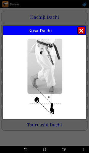 Karate in brief screenshot 15