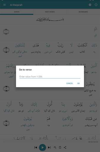 Learn Quran скриншот 13