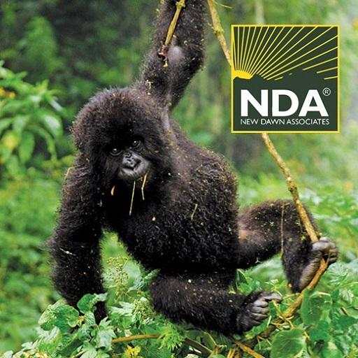 Rwanda Travel Guide 6.0.0