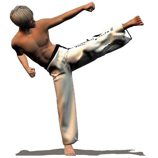 Taekwondo Forms (Sponsored) 1.16.4