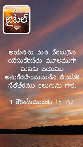Bible in Telugu screenshot 7