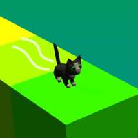 Cat Walk