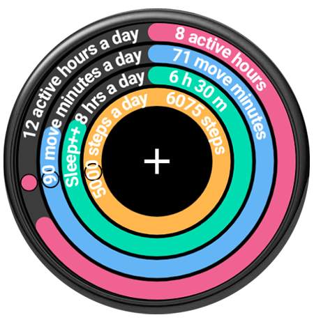 Fit Companion screenshot 13