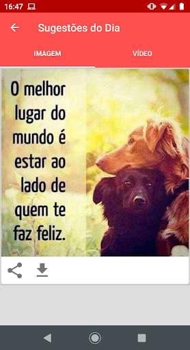 Imagens e Videos para WhatsApp screenshot 3