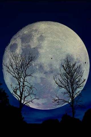 Twin Trees - Live Wallpaper स्क्रीनशॉट 2