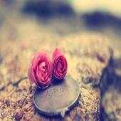 صور واتس اب(دون نت) 1.0