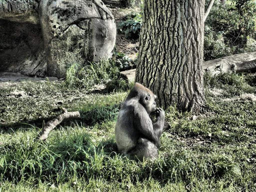 Ultimate HDR Camera screenshot 4