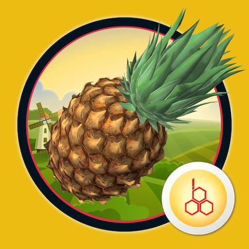 Fruits and Vegetables by OOBEDU icon