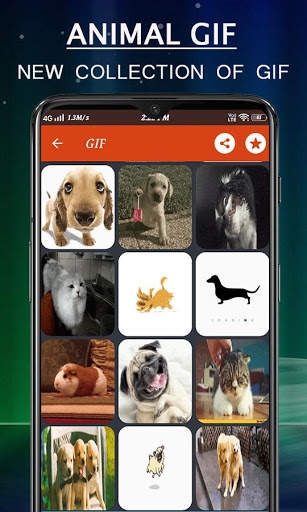 Animal Gif Stickers screenshot 12