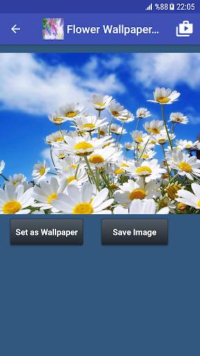 Flower Wallpapers screenshot 1
