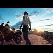 pubg facts icon