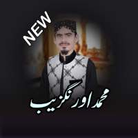 Muhammad Aurangzaib Awais Naat on 9Apps