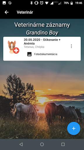 My Horse screenshot 6