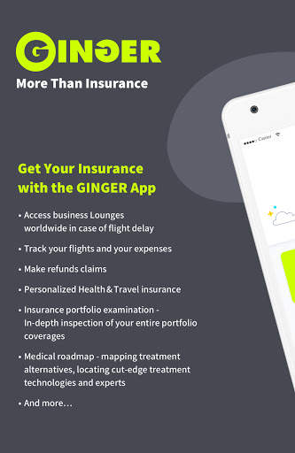 Ginger screenshot 7