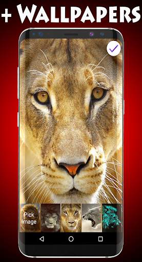 Lions Lock Screen & Wallpaper screenshot 3