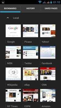 Flash  Browser screenshot 3