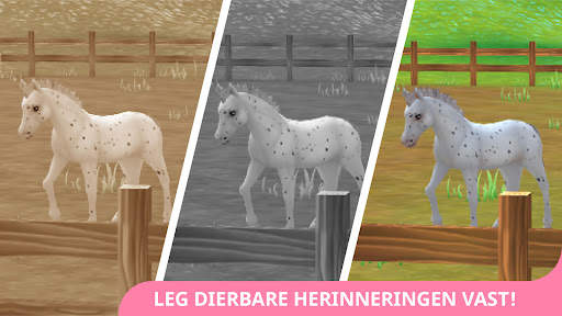 Star Stable Horses screenshot 5