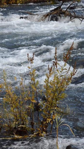 River Live Wallpaper screenshot 4