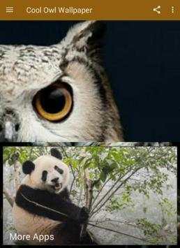 Cool Owl Wallpaper скриншот 1