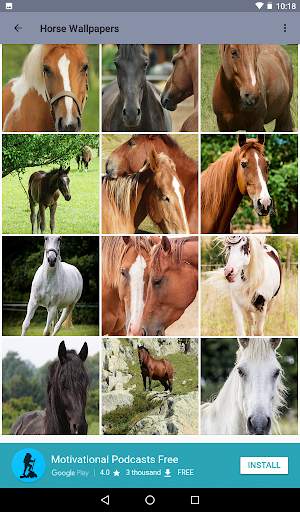 Beautiful Horse Wallpapers 4 تصوير الشاشة
