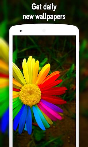 Flower Wallpaper (4k) screenshot 7