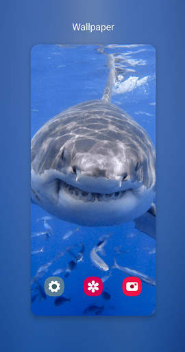 Shark Wallpapers_خلفيات سمك القرش screenshot 3