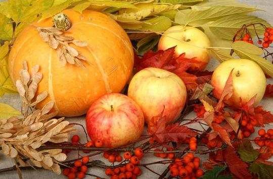 Apples Autumn live wallpaper screenshot 7