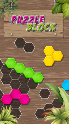 Puzzle Solving - Block Game screenshot 3