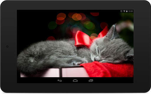 Christmas Pets Wallpapers screenshot 7