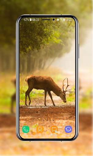 Nature Wallpaper HD screenshot 2