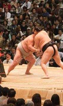 Sumo Wallpapers screenshot 2