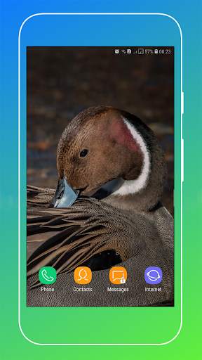 Duck Wallpaper screenshot 15